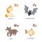 Animal alphabet with unicorn vampire-bat wolf x-ray fish
