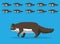 Animal Animation Sequence Cat Ragamuffin Cartoon Vector