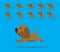 Animal Animation Sequence Dog Bloodhound Cartoon Vector