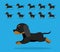 Animal Animation Sequence Dog Coonhound Cartoon Vector