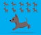 Animal Animation Sequence Dog Xoloitzcuintle Cartoon Vector