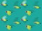 Animal Animation Sequence Gouldian Finch Flying Cartoon Vector Seamless Wallpaper