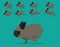 Animal Animation Sequence Rabbit Jersey Wooly Cartoon Vector