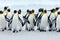 Animal from Antarctica. Group of king penguins coming back together from sea to beach with wave a blue sky, Volunteer Point, Falkl