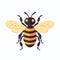 animal arthropod insect bee