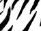 Animal Background. Jungle Fashion Textile. Modern Animal Background. Realistic Vector Zebra Skin. Luxury Art. Exotic Zebra