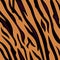 Animal background pattern - tiger skin texture