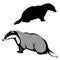 animal badger black silhouette ation