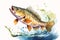 Animal_Bass_Fish_Watercolors_Illustration1_2