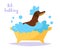 Animal bath Vector. Cartoon. Isolated art on white background. Flat Clean