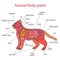 Animal body parts