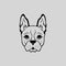 Animal Buldog Cute Puppy Head Vector Front View