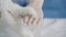 animal care, paws of a fluffy white cat in the palms of a female veterinarian