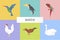 Animal cartoon origami icon vector