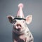Animal Celebration Adorable Pig in Party Hat and Sunglasses for Anniversary and Birthday Cards