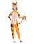 Animal character pajama. Women dressed in onesies. People wearing jumpsuit or kigurumi. Pajama party, person in costume