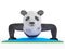 Animal character personage panda doing yoga