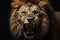 Animal close predator portrait face dark big fur african africa cat lion nature