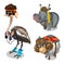 Animal in clothes, ostrich, hippopotamus and sheep