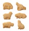 Animal Crackers (with clipping path)