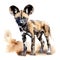 Animal_Cute_Baby_Wild_Dog_Watercolor1_3