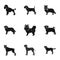 Animal, domestic, dachshund, and other web icon in black style.Dachshund, husky, beagle, icons in set collection.