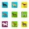 Animal, domestic, dachshund, and other web icon in flat style.Dachshund, husky, beagle, icons in set collection.