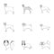 Animal, domestic, dachshund, and other web icon in outline style.Dachshund, husky, beagle, icons in set collection.