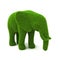 Animal elephant shaped hedge