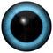 Animal eye with big colored iris, detail view into eye bulb