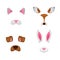 Animal face elements set. Vector illustration. For selfie photo decor. Constructor. Cartoon mask of cat,deer,rabbit,dog. Isolated
