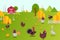 Animal farm collection vector illustration. Hens, ducks, turkeys and chicks in farmland yard. Birds breeding in clean