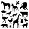 Animal Farm Pet Wildlife Zoo Silhouettes Black Icon Vector