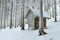 Animal feeder in frostbitten forest