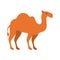 Animal figure of camel cartoon