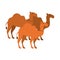 Animal figure of camels cartoon
