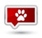 Animal footprint icon prime red banner button