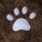 Animal footprint on a plush fabric