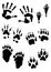 Animal footprint stamps and human hands print