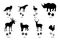 Animal footprints, silhouettes, wild fox, pet dog