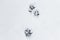 Animal footprints in the snow. dog prints. fresh snow background. high angle view of snow texture Natural winter