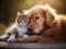 Animal friendship, golden retriever dog and cat touching heads