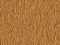 Animal fur texture -tiger orange