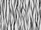 Animal fur texture- tiger white