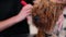 Animal Grooming Salon. Groomer Brushing Wet Dog Hair
