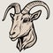 animal head domestic goat