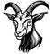 animal head domestic goat