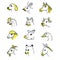 Animal head icon set vector