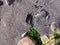 Animal hoof print tracks in the sand at False Bay