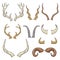 Animal horn types - isolated hand drawn set of antlers